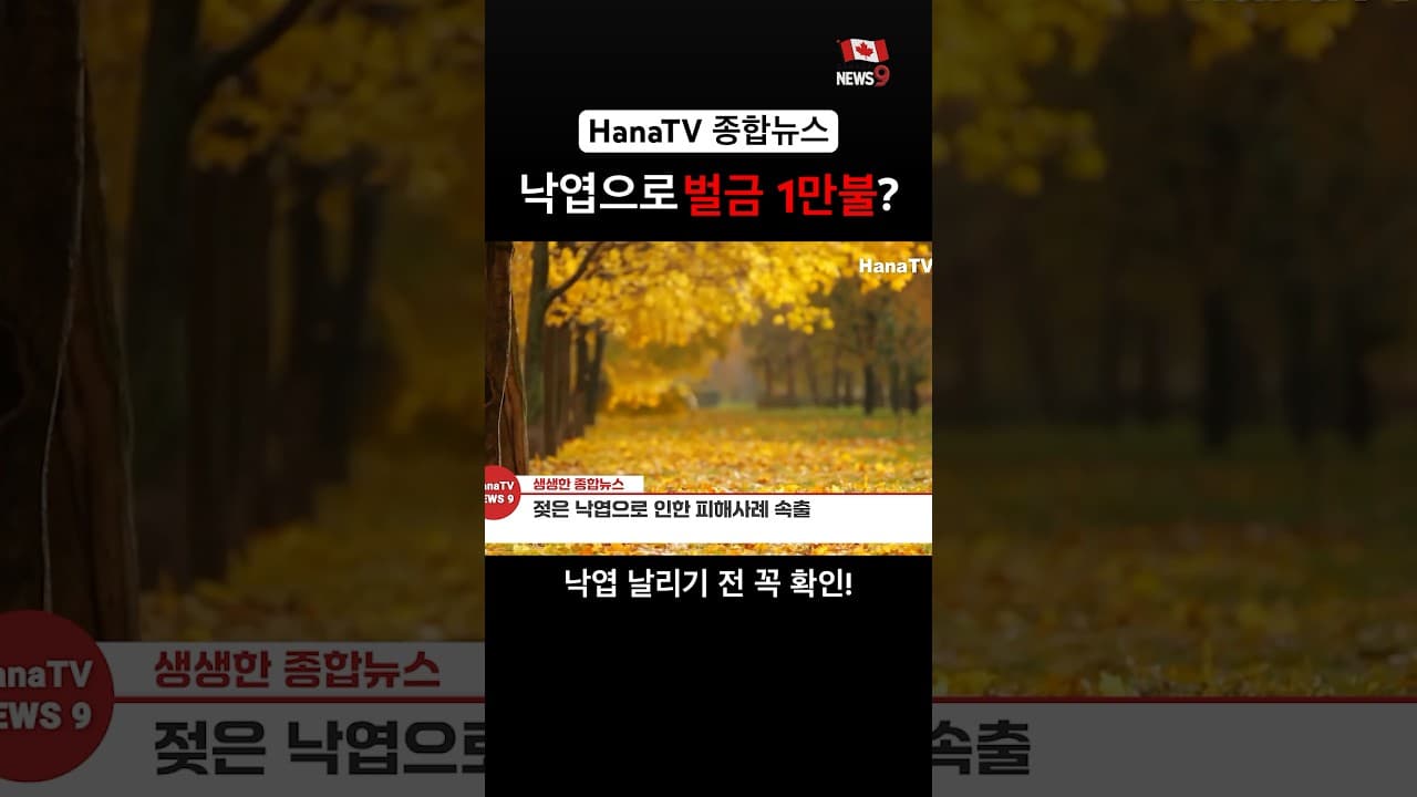 벌금 1만불 정당하다? 아니다?