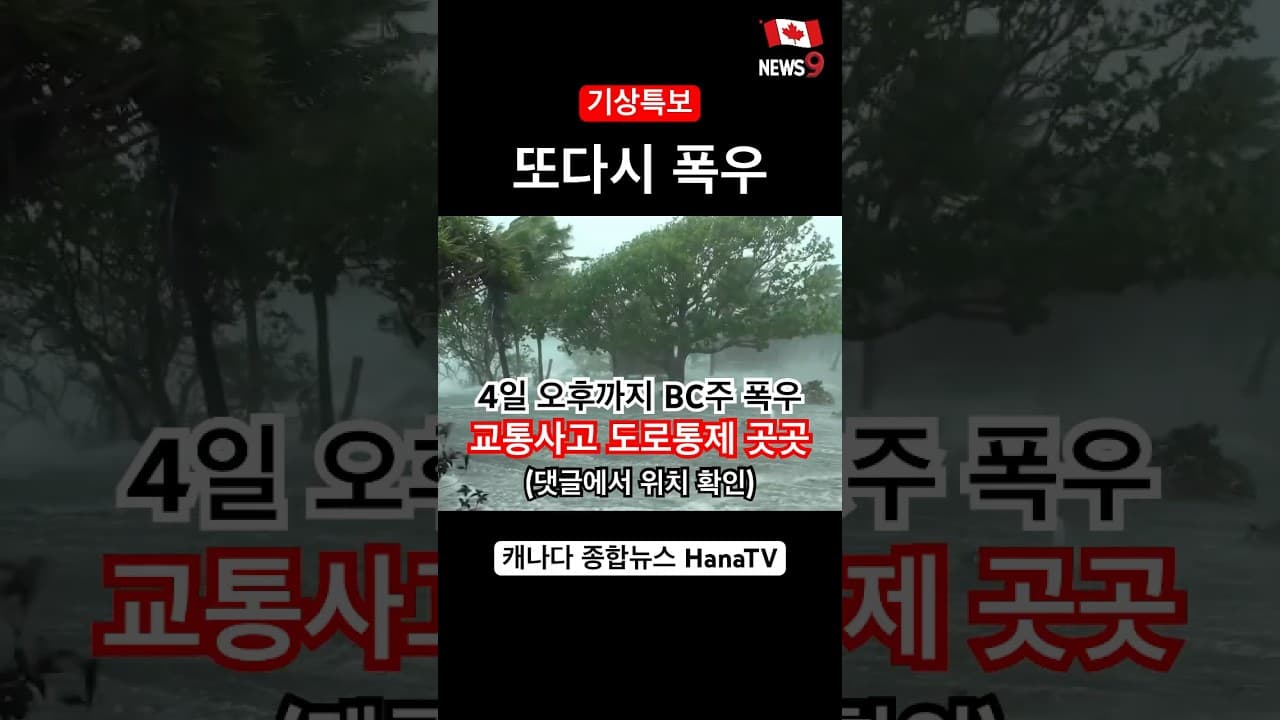 11/4 폭우,강풍경보
