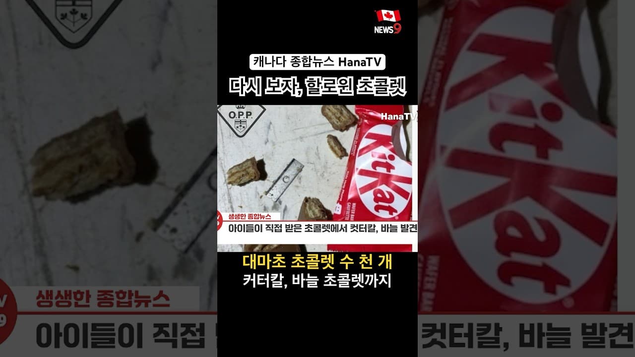 할로윈 초콜렛에 왜??