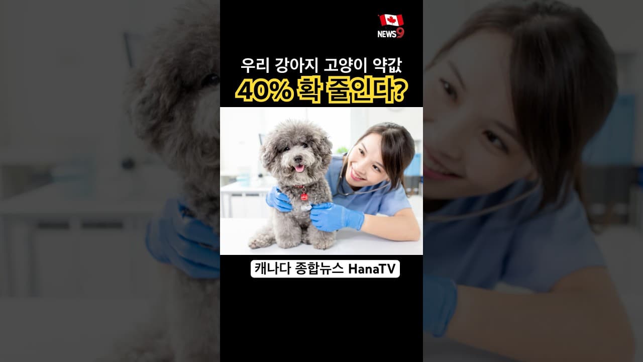 드디어 독점체계 바뀌나