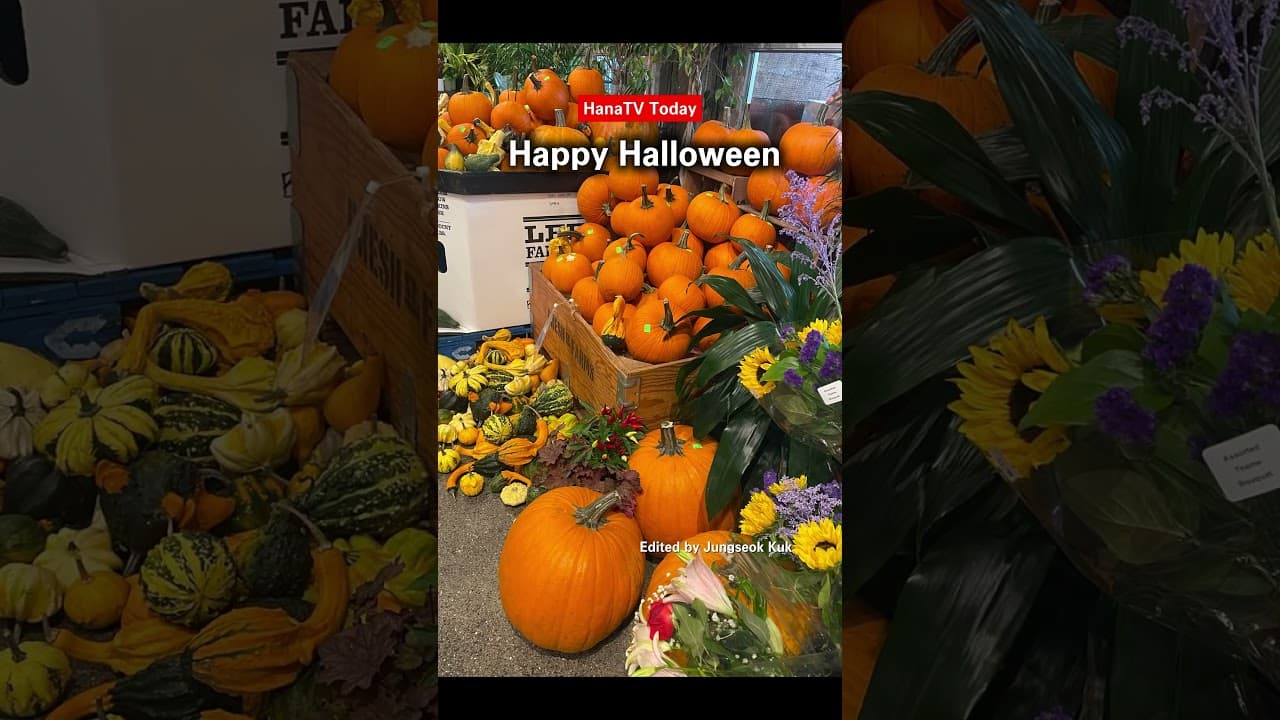 폭우에도 즐긴다, Happy Holloween
